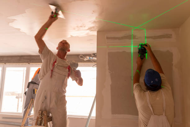 Best Drywall Crack Repair  in Hodgenville, KY