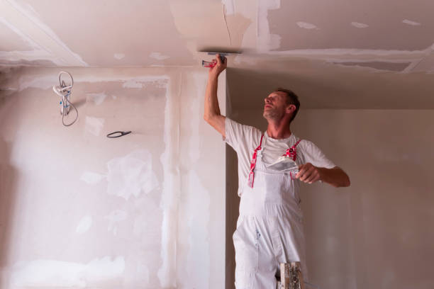 Best Drywall Removal and Disposal  in Hodgenville, KY